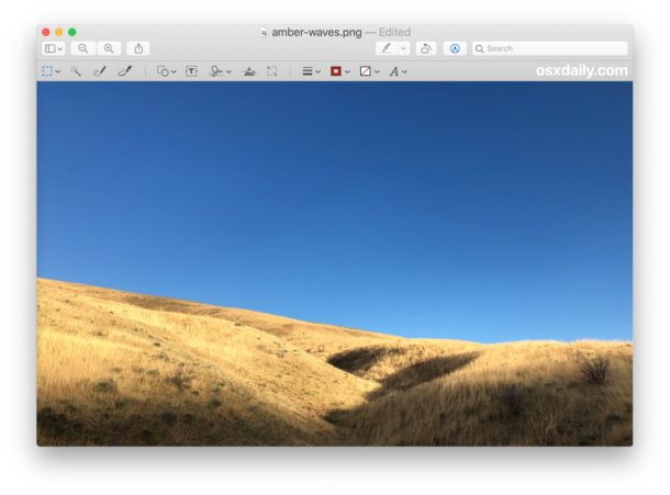 Antes de invertir la imagen en Vista previa en Mac