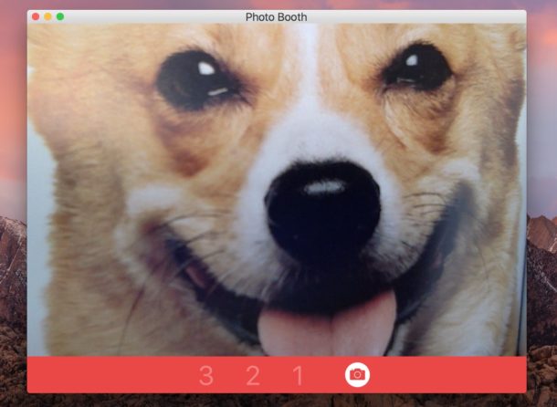 Toma fotos con la cámara web de Mac para selfies